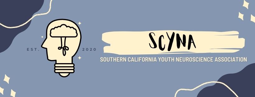 SoCal Youth Neuroscience Association