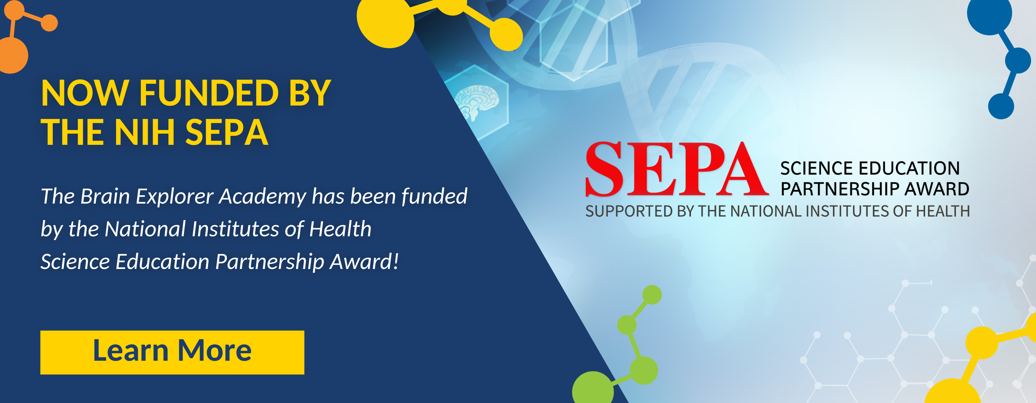 The Brain Explorer Academy is now funded by the NIH SEPA